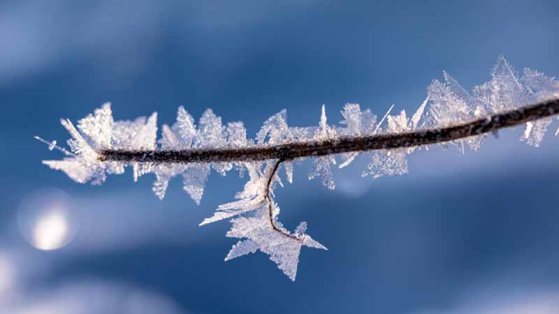 复盛螺杆空压机冬季稳定运行指南：关键维护措施解析